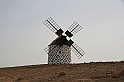 Kanary_2010 164